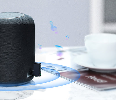 SoundBridge™