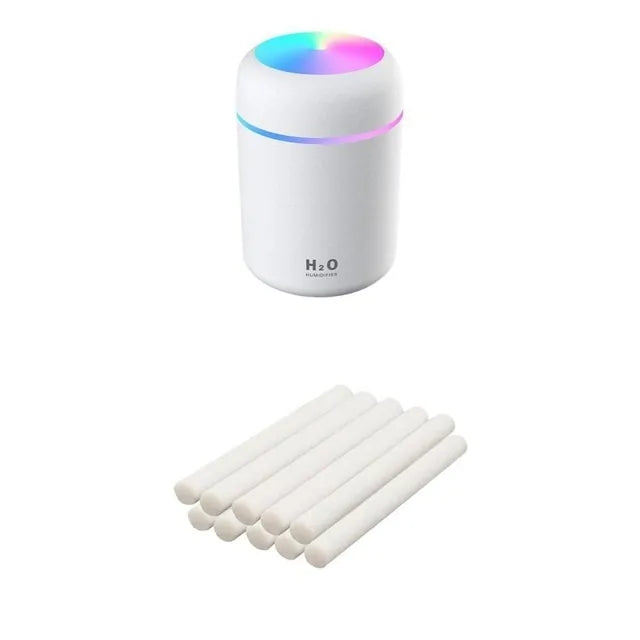 Mini Mist Portable Humidifier