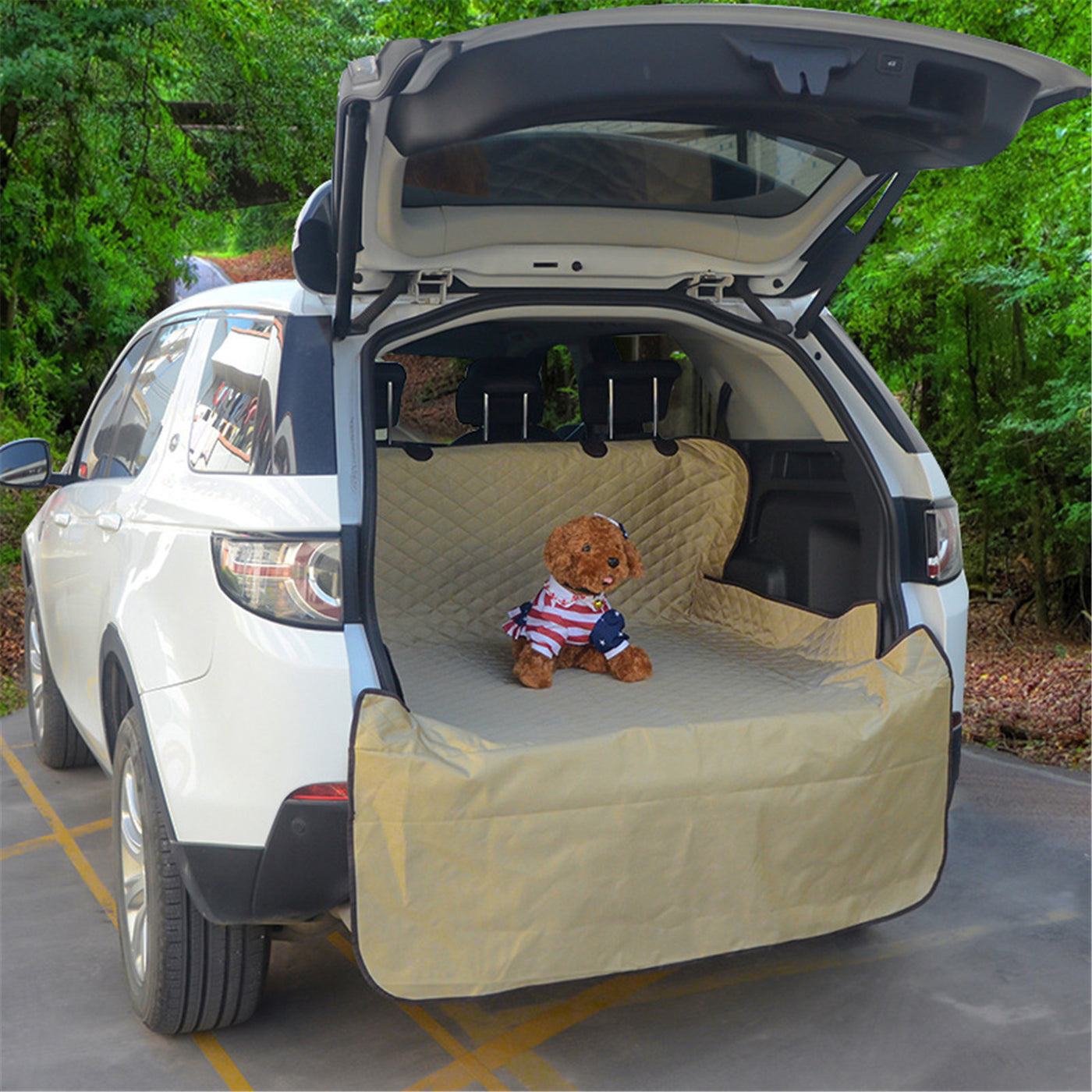 PawLiner™